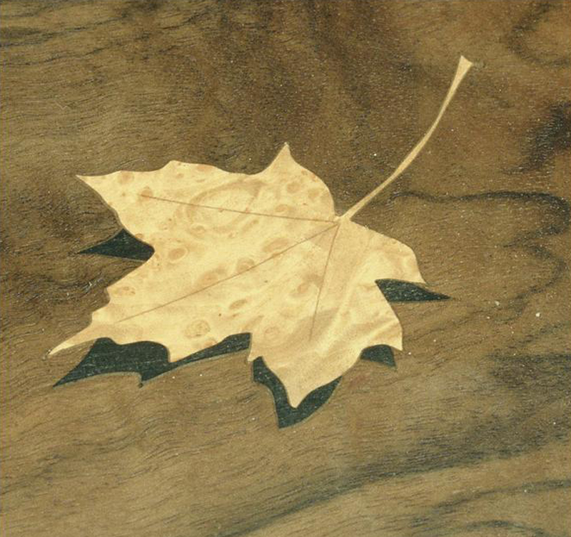 Shadow Maple Leaf Detail